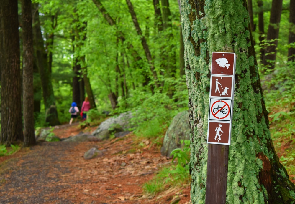 Couple enjoying hiking - one of the best things to do in Wausau near our Wisconsin cabin rentals